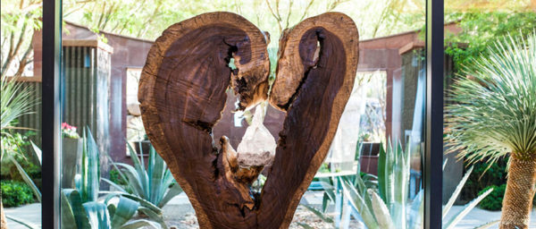 Essence at Ascaya luxury living