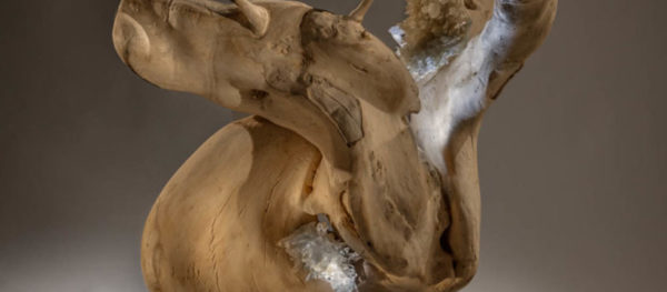 Dorit Schwartz Abundance of unity front blog