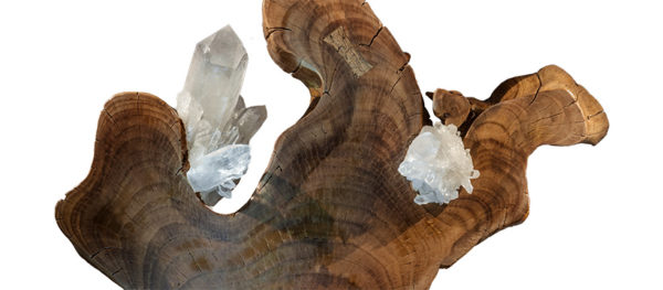 Spark of Love Dorit Schwartz