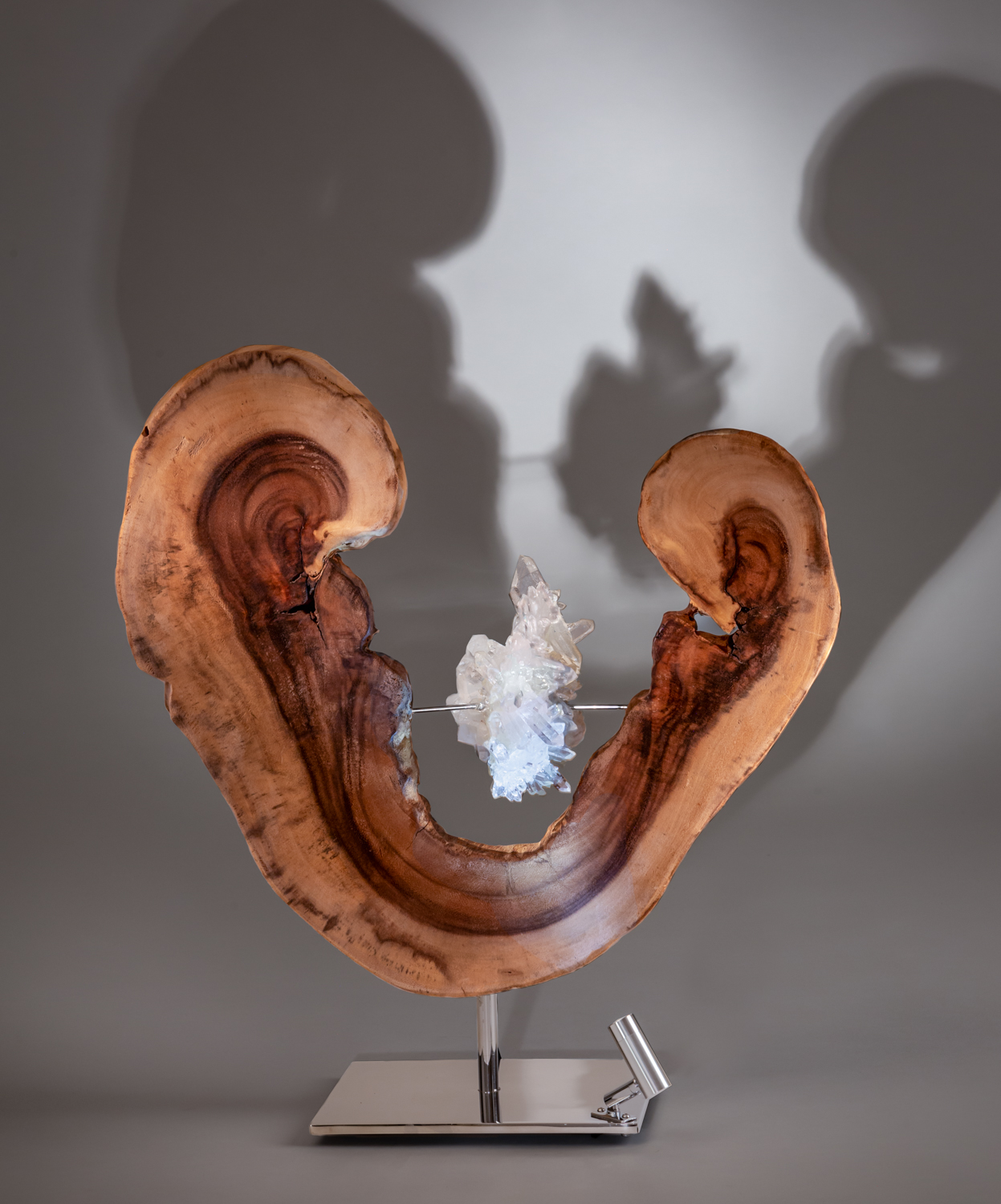 Purity of Love by Dorit Schwartz